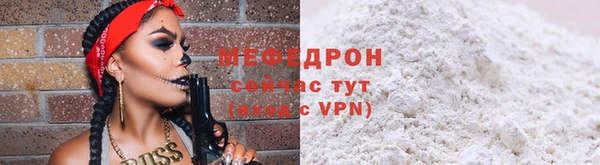 spice Богородицк